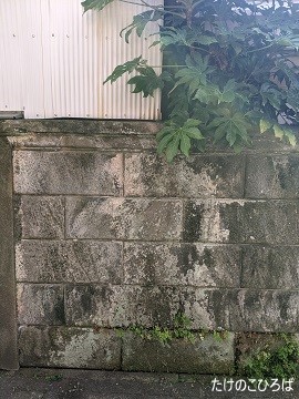 (a002)